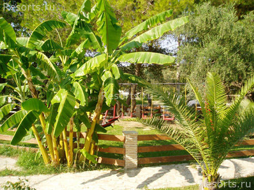 Mediterranee Hotel 8